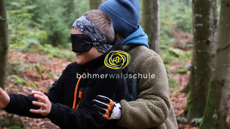 Logo von Böhmerwaldschule